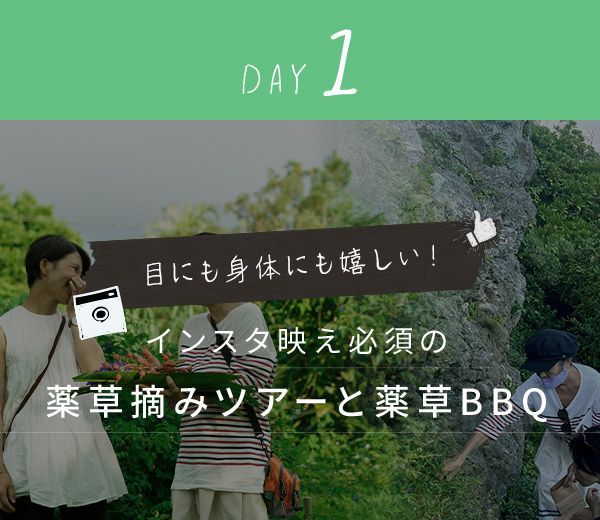 day1.目にも身体にも優しい！インスタ映え必須の薬草摘みツアーと薬草BBQ