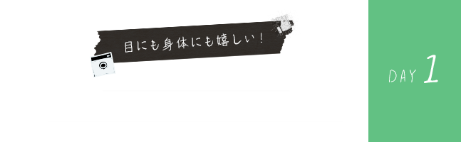 day1.目にも身体にも優しい！インスタ映え必須の薬草摘みツアーと薬草BBQ