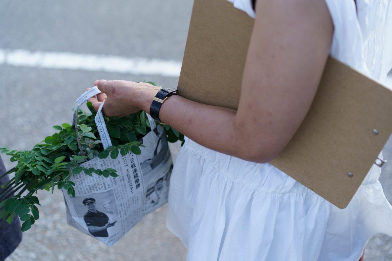 ペーパーバックに入ったいっぱいの薬草