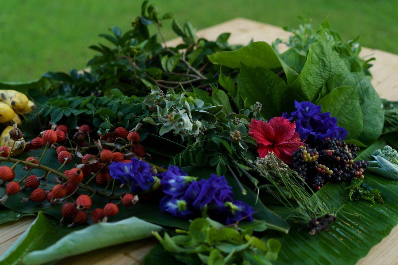 色とりどりの薬草が机にのる様子