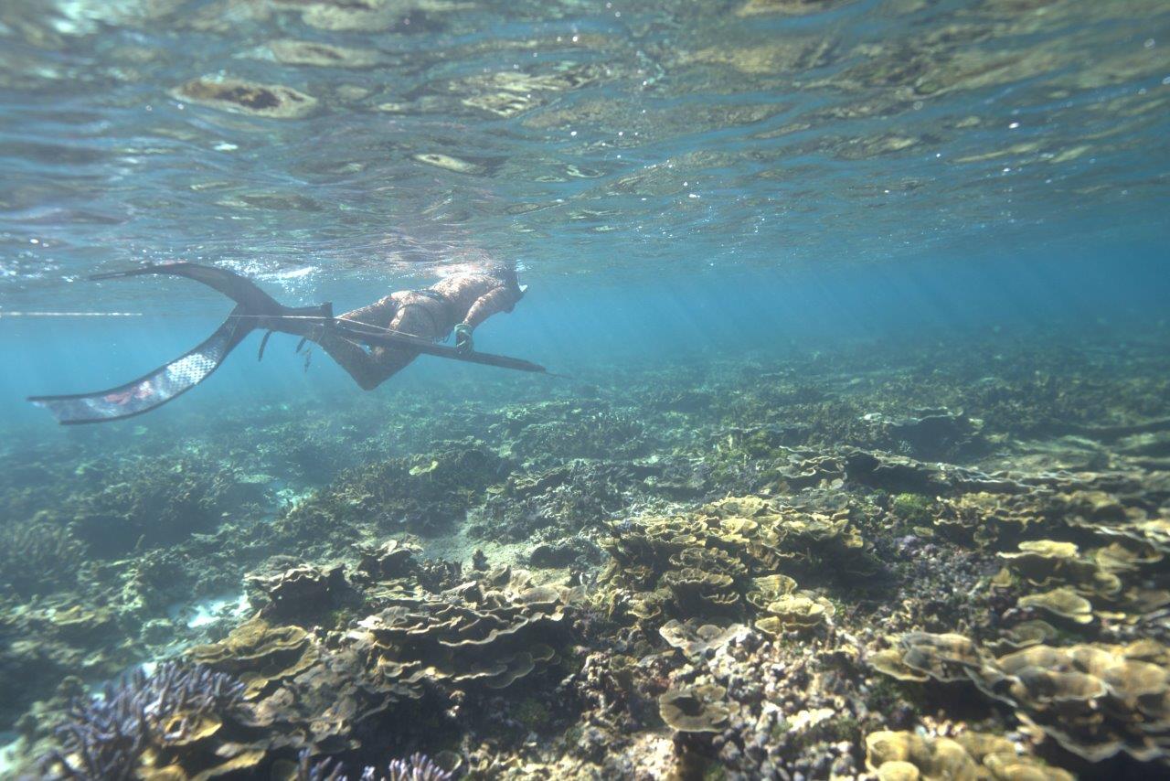 海の中で魚を探す高田さん