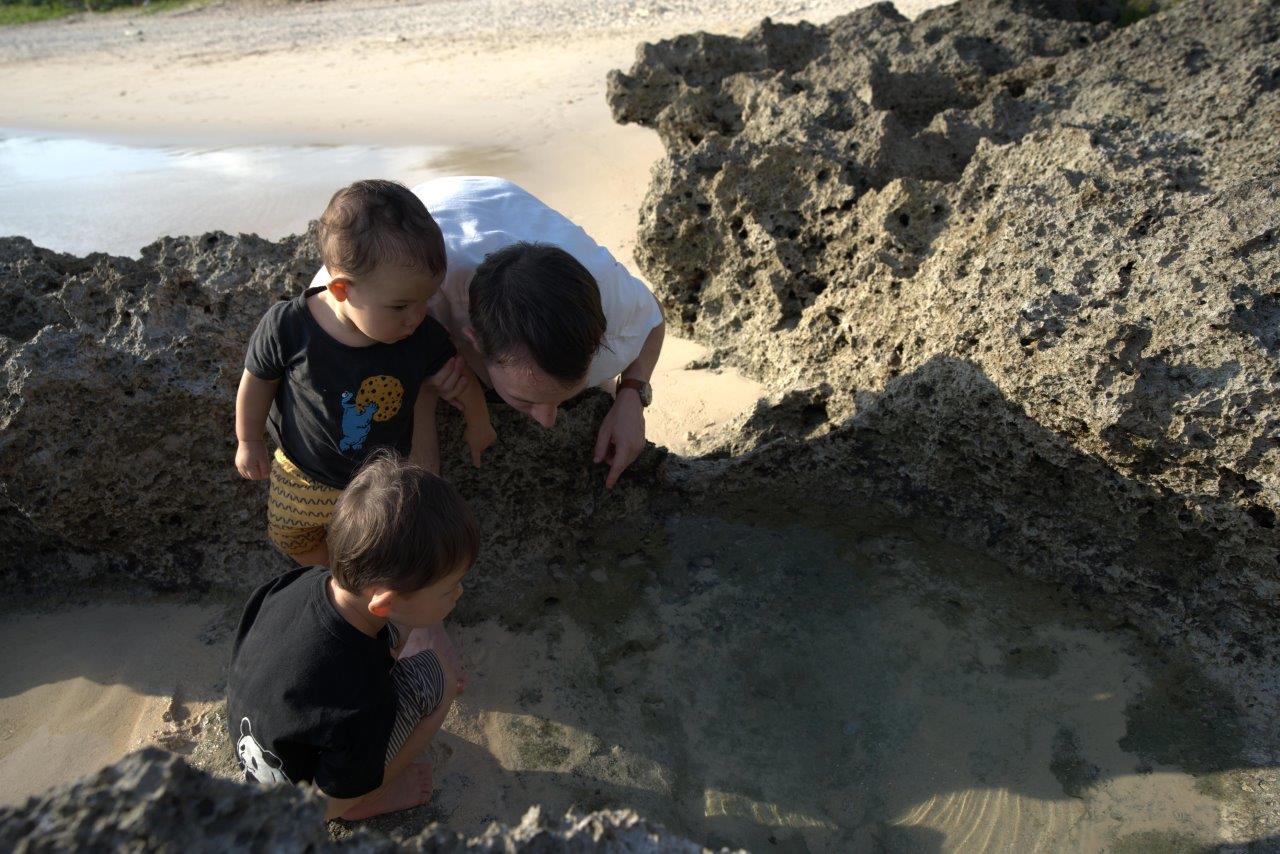 岩場で生き物観察している様子